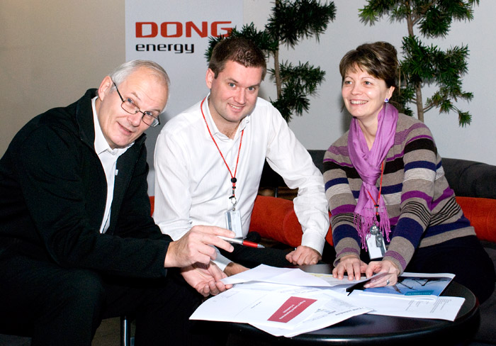 Omega consultants at DONG Energy